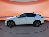 Alfa Romeo Stelvio 2.2 16V AT8 Veloce *Allrad *ACC - scheckheftgepflegte Alfa Romeo Gebrauchtwagen