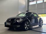 Volkswagen Beetle Cabrio DSG Exclusive Leder Kamera Fender - gebrauchte VW Roadster