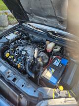 Opel Signum 3.0 V6 CDTI - - Opel Signum: 3.0