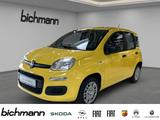 Fiat Pandina ICON 1.0 Klima PDC DAB USB teilb.Rücksb  - scheckheftgepflegte Fiat New Panda