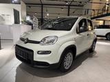 Fiat Panda 1.0 Mild Hybrid EU6e, City Paket, Bluetoot - Fiat Panda Tageszulassungen mit Benzin-Antrieb