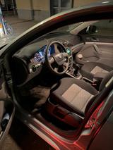 Skoda Oktavia - Skoda: Oktavia