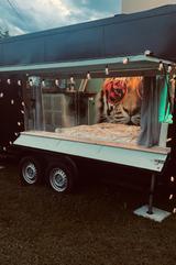 Andere Mobile Unterkunft / Tinyhouse/ Einzelanfertigung - Wohnmobil oder -wagen Mobile