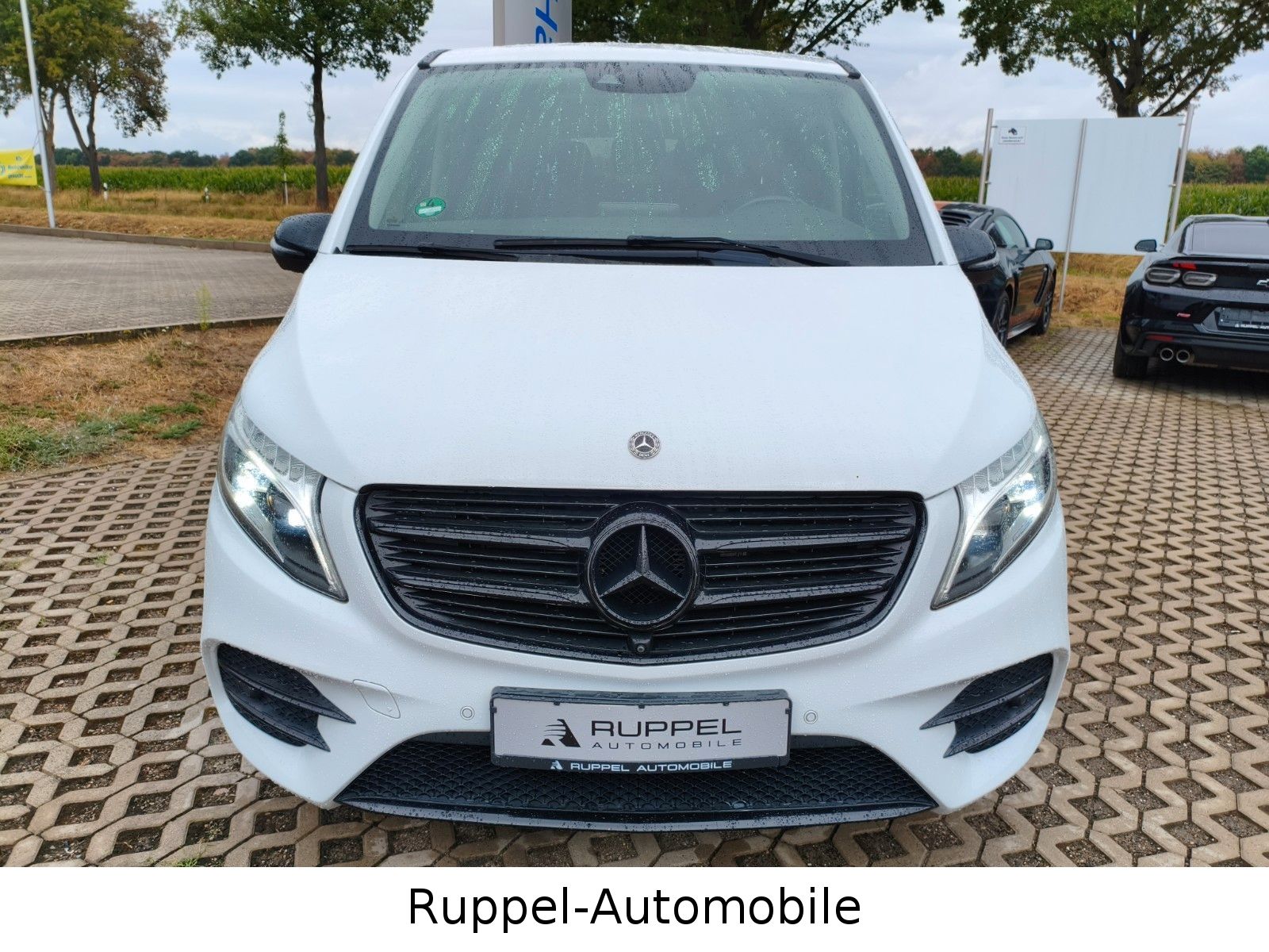 Mercedes-Benz V 250CDI AMG-LINE AVANTGARDE EDITION lang 1.HAND foto 14