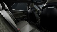 Cupra Andere - Vorschau Bild 11