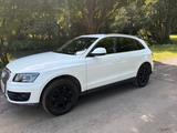 Audi Q5 2.0 TFSI 155 kW quattro Motor Neu TPI2 Gewähr - Audi Q5 bis 15.000 Euro