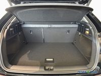 Audi Q2 - Vorschau Bild 14