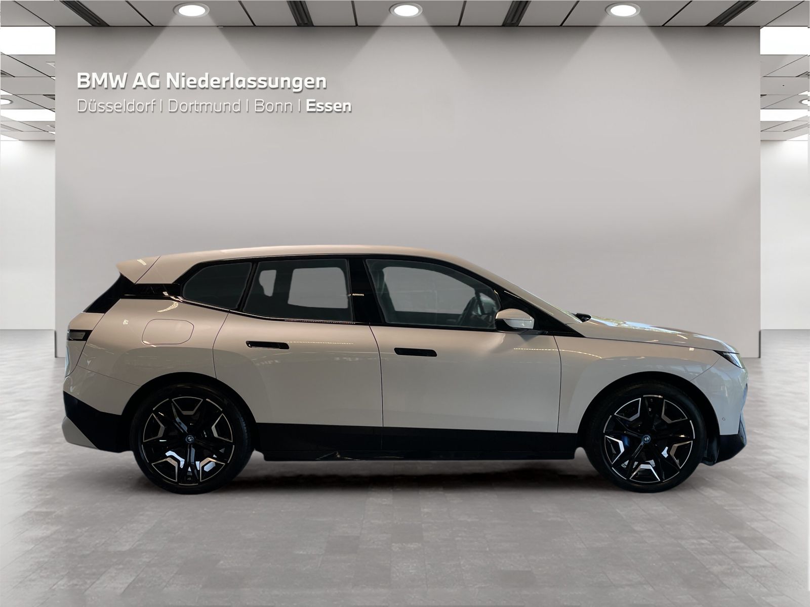 BMW iX xDrive50 Bowers & Wilkins Driv.Assist.Prof foto 5