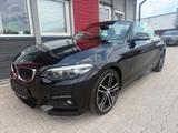 BMW 2 Cabrio 218 i M Sport*M-PAKET*LEDER*H&K*NAVI - BMW 2er Reihe: M Paket