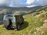 Mercedes-Benz G 300 CDI LL lang Professional - - Mercedes-Benz G 300: Cdi