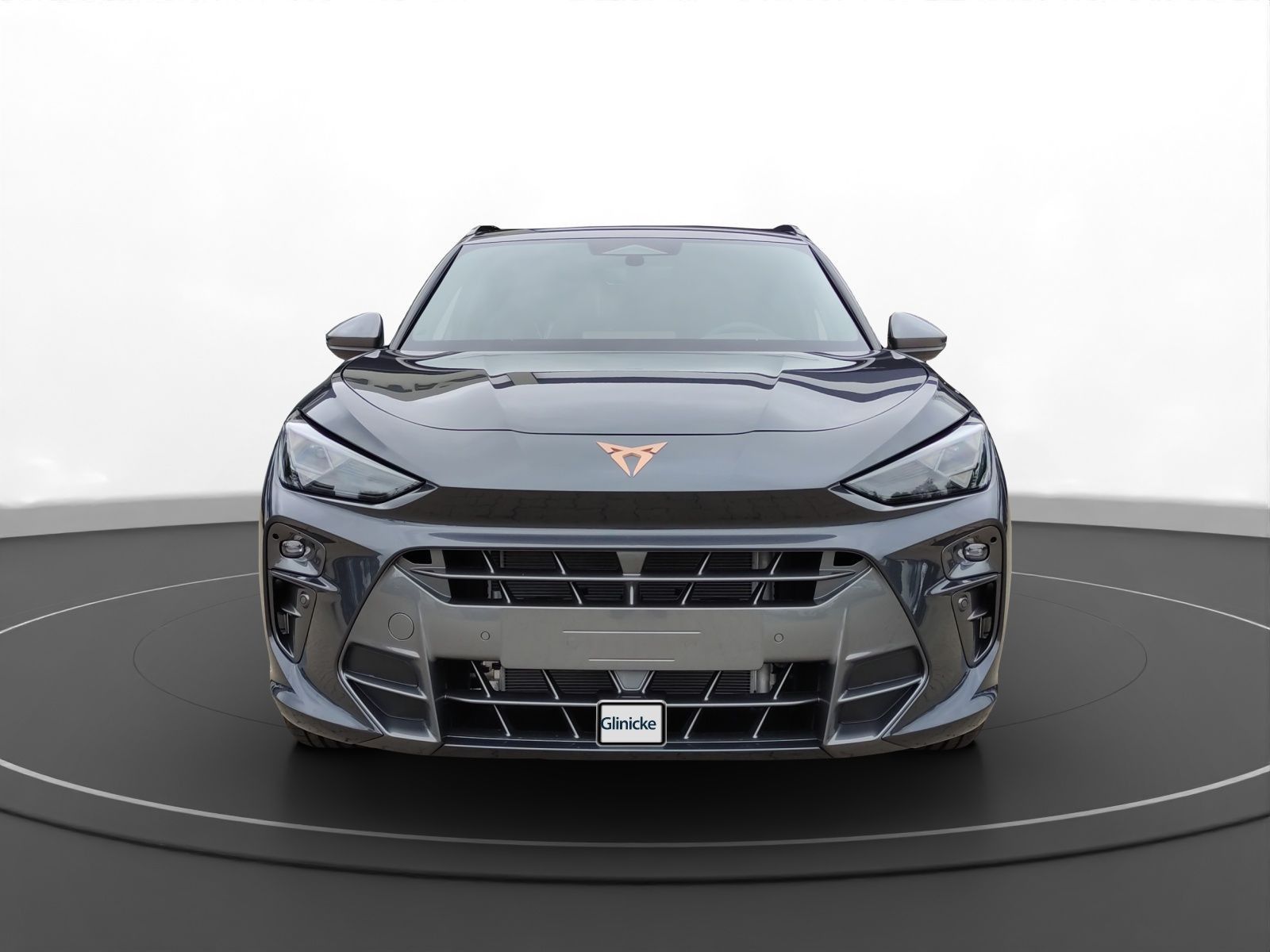 Cupra Terramar - Bild 3