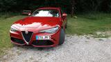 Alfa Romeo Giulia 2.9 V6 Bi-Turbo 375 kW AT8 Quadrifogl... - Alfa Romeo Giulia V6 Gebrauchtwagen
