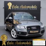 Audi SQ5 3.0 TDI Quattro ALCANTARA/TEMPOMAT/XENON/ALU - Audi Gebrauchtwagen in Freiburg