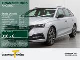 Skoda Octavia Combi 1.5 TSI SPORTPAKET LED STDHZG LM18 - Skoda Octavia: 18 Tsi