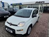 Fiat Panda +5SITZER+ALLWETTER+KLIMA+BLUETOOTH+DAB+ - Fiat Panda Gebrauchtwagen in Münster