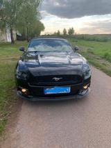 Ford Mustang 5.0 Ti-VCT V8 GT GT - Ford Mustang Gebrauchtwagen in Frankfurt