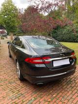 Jaguar XF 3.0 L V6 Kompressor AWD - - Jaguar Gebrauchtwagen in Hamburg