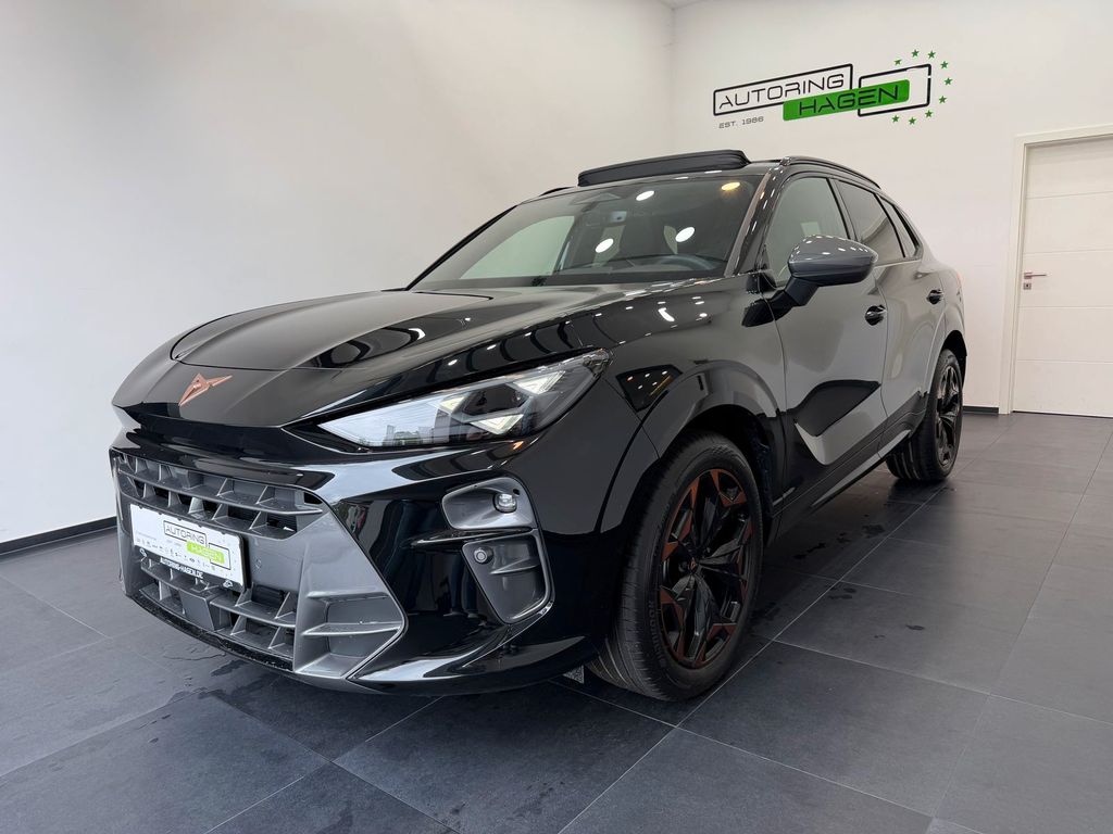 Image of Cupra Terramar