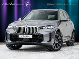 BMW X5 xDrive30d M Sport ACC AHK PANO K360° H&K