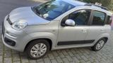 Fiat Panda Automatik - Fiat Panda mit Benzin-Antrieb: Kleinwagen, Automatik