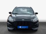 Ford Kuga 2.0 EcoBlue Aut. ST-LINE X - Ford Kuga mit Diesel-Antrieb: Automatik