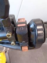 Ducati Monster 600 für Händler/ Export - Offers