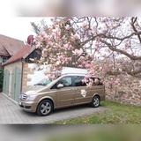 Mercedes-Benz Viano 3.0 CDI TREND EDITION kompakt TREND ED... - Mercedes-Benz Viano in Dresden