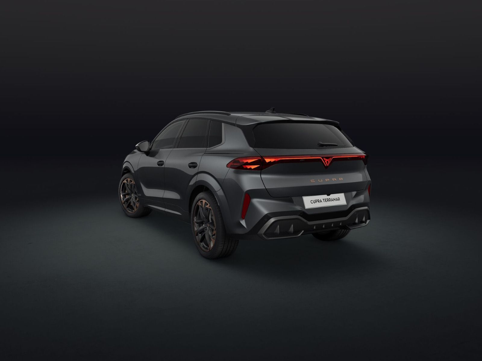 Cupra Terramar - Bild 5