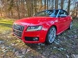 Audi S5 - gebrauchte Audi S5 aus dem Jahr 2010