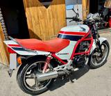Honda CB 450S Tüv neu  - HONDA 1990