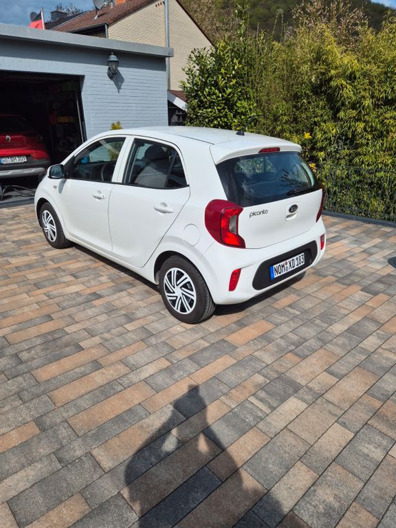 Image of Kia Picanto