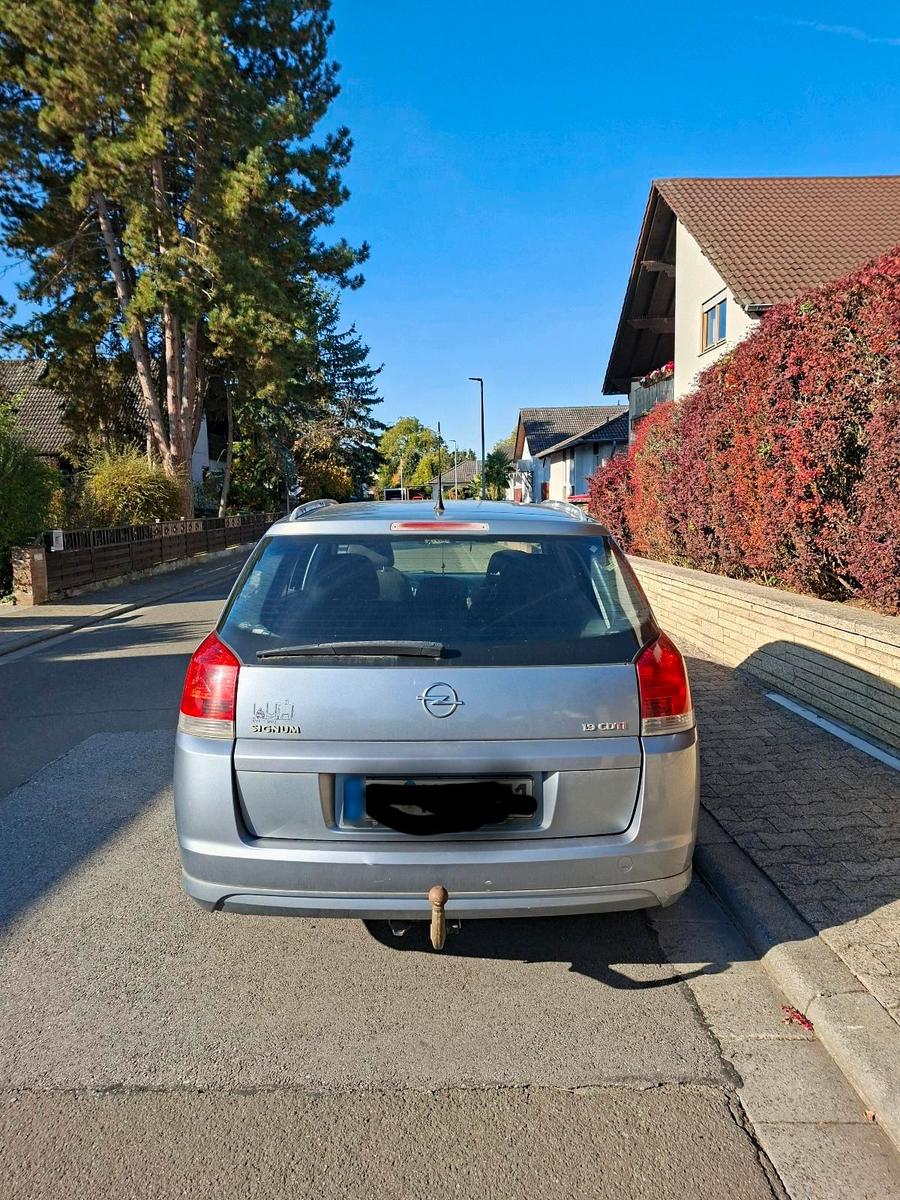 Opel Signum 2006 — rear view