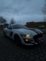 Ford Mustang,Manuell,SHZ, 8fach Bereift, super optik - weiße Ford Mustang