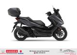Honda Forza 350 mit Smartcase 6 Jahre Garantie - HONDA FORZA 350