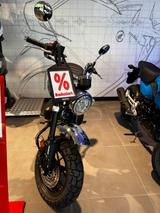 Honda Z125 Monkey TAGESZULASSUNG - HONDA MONKEY 125