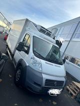 Fiat Lkw Transporter - Fiat Ducato in Kassel