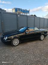 Mercedes-Benz Mercedes Benz CLK Cabrio 200 Avantgarde Ga... - Mercedes-Benz 200: Cabrio, Clk
