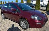 Fiat Punto More, Modell 2013, Klima, viele Neuteile - Fiat Punto: More
