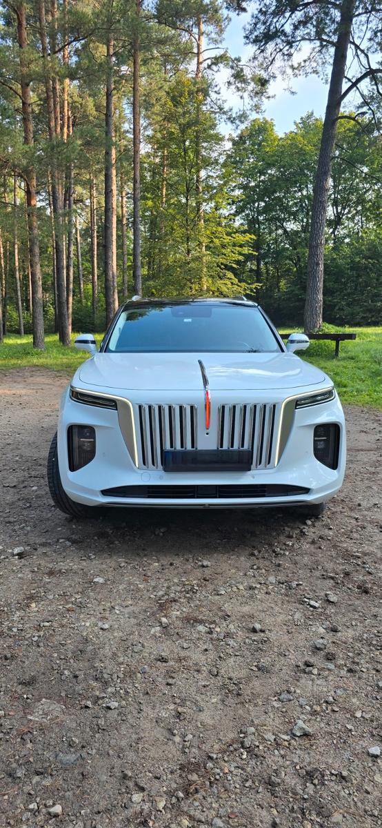 Hongqi E-HS9