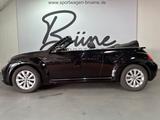 Volkswagen Beetle 50 S Design Edition/Leder/Scheckh/Klima - gebrauchte VW Beetle aus dem Jahr 2014