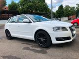 Audi A3 1.6 TDI (DPF) 77kW Ambition Sportback Amb... - Audi A3 mit Diesel-Antrieb: Kombi, 1.6