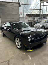 Andere Dodge Challenger SRT8 6.1l - Andere: Sportwagen