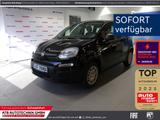 Fiat Panda Hybrid MY25  1,0 GSE 51kW (70 PS) City-Pak - Fiat Panda New cars
