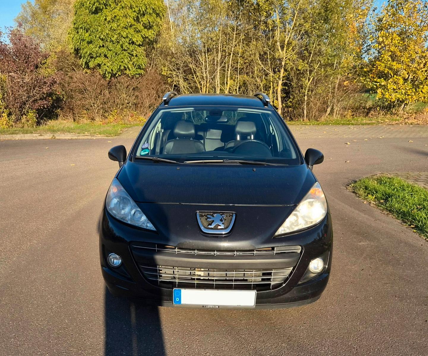 Peugeot 207 2011 — rear view