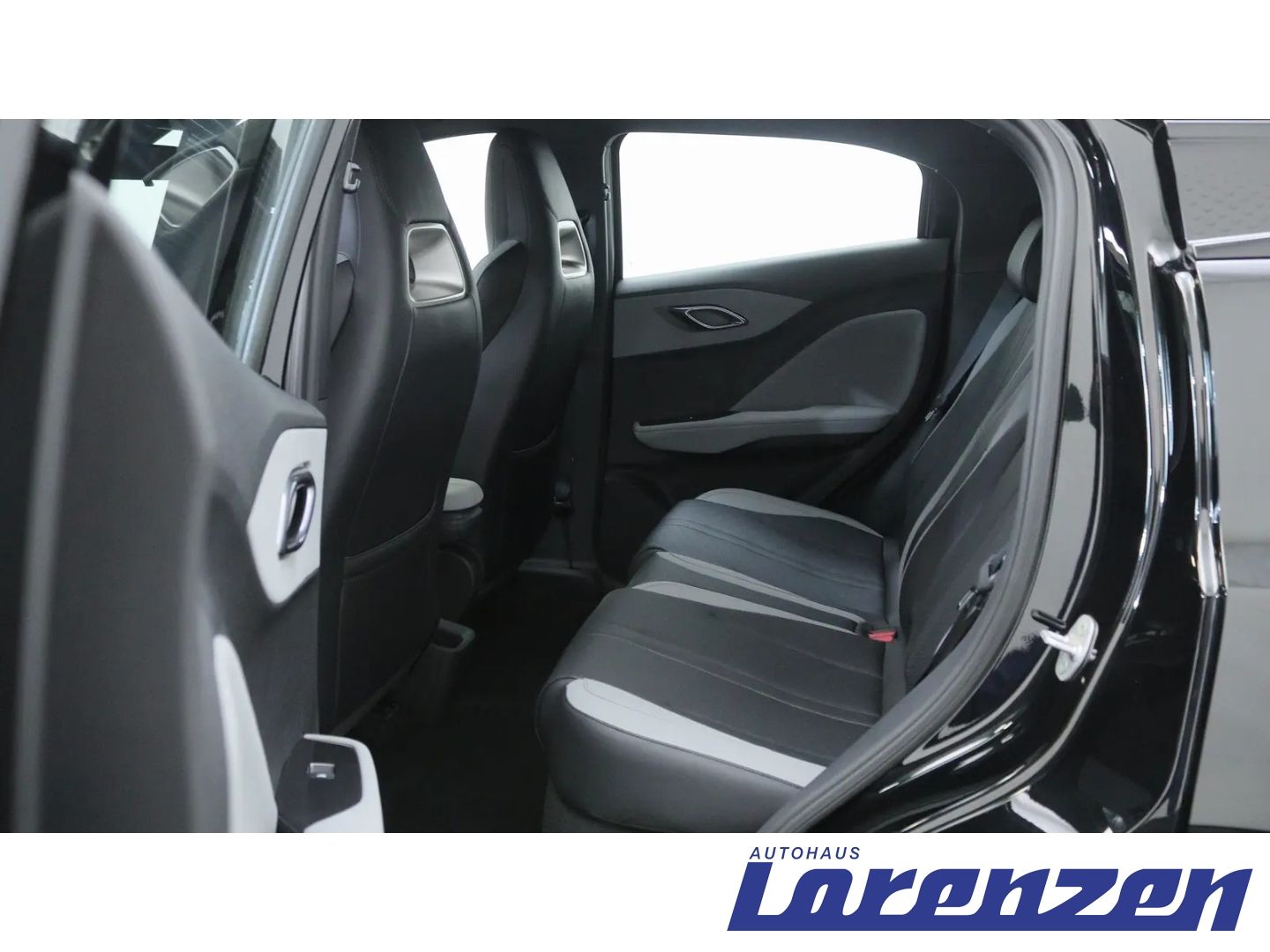 BYD DOLPHIN SURF