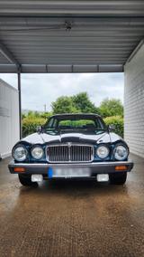 Jaguar Serie 3 V12 - Jaguar XF in Köln