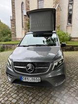 Mercedes-Benz Marco Polo Edition 4MATIC AMG LED MBUX NIGHT - Mercedes-Benz V 250 in Chemnitz