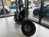 Andere Sonstige Harley-Davidson FXDF - Motorräder weiterer Marken
