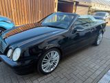 Mercedes-Benz CLK 430 Cabrio - Mercedes-Benz CLK 430: Cabrio