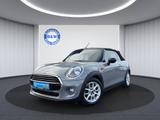 MINI Cooper Cabrio *LEDER*AUTOMATIK*SHZ*KLIMA*TEMP - graue MINI Cooper Cabrio